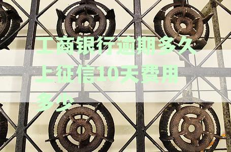 工商银行逾期几个小时上征信：理解与实际影响