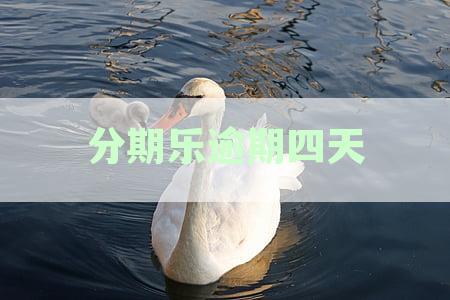 分期乐逾期四天