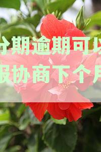 可不可以打客服电话申请期还款关于是否可以协商或申请期还款。