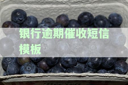 银行逾期贷款催收策略与实践：短信模板详解