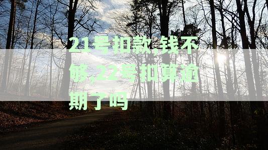 21号扣款,钱不够,22号扣算逾期了吗