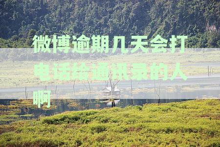新微博借款逾期后多久会被联系通讯录联系人？如何应对电话催收？