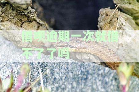借呗逾期一次后，如何重新获得借款资格及解决办法