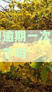 借呗逾期一次就借不了了吗