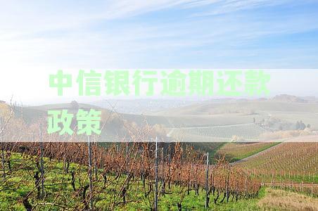 中信银行信用卡逾期还款新规定：最新协商与信用修复策略详解