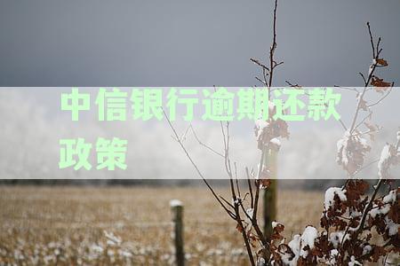 中信银行逾期还款政策详解：如何避免罚息、期还款及催收流程