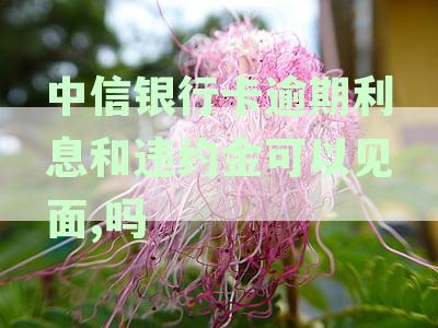 中信银行逾期利息计算方法及标准