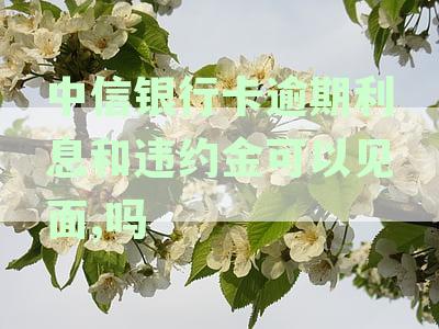 中信银行逾期分期协商攻略：最多可分多少期？如何操作？