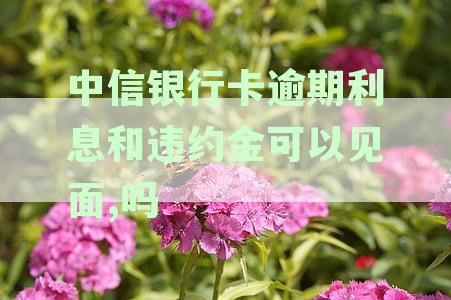 中信银行违约金和利息解释：标准与签约金额