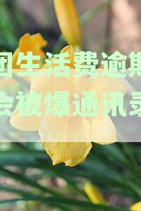 美团生活费逾期一天是否会导致通讯录暴露？如何避免逾期影响个人信用？