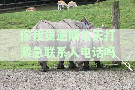 你我贷逾期几天打紧急联系人电话吗？安全吗？
