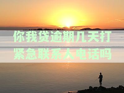 你我贷逾期一天后会联系紧急联系人吗？如何避免此类情况并解决潜在问题