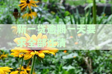 新一贷晚一天还款会怎么样：处理方式、扣款次数及逾期强制时间解析
