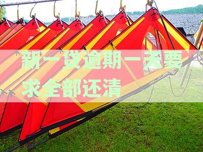新一贷贷款逾期：处理方式、后果分析及如何避免严重问题