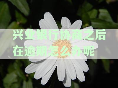 兴业银行协商还本金是真的吗？需要先付首付吗？安全性如何？