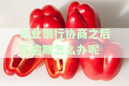 兴业银行协商还款方式详解：如何进行协商还款、优势及适用场景全面解析