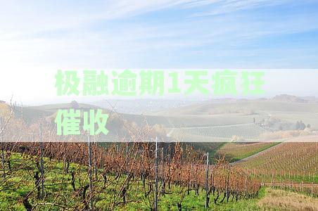 极融逾期1天疯狂催收：后果与应对方法