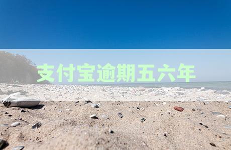 支付宝逾期6年后果严重，如何解决？