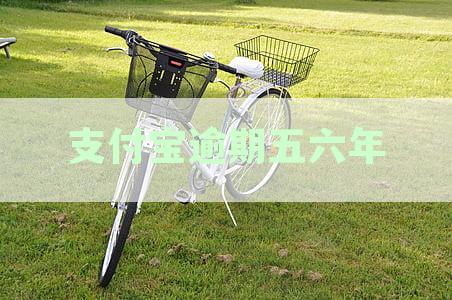 支付宝逾期五六年