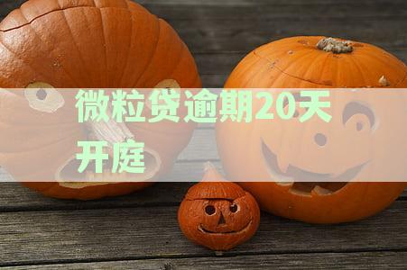 微粒贷逾期20天开庭怎么办：处理流程与应对策略
