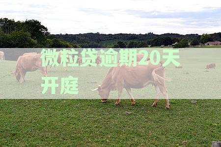应对逾期未还款的微粒贷，了解法律诉讼流程并妥善处理开庭