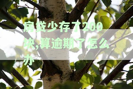 房贷少存200块，逾期怎么办理还款？