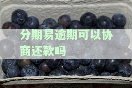 分期易逾期后是否可以协商还款？如何正确操作以避免逾期产生的影响？