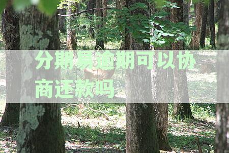 分期易逾期还款协商技巧，如何实现分期付款推