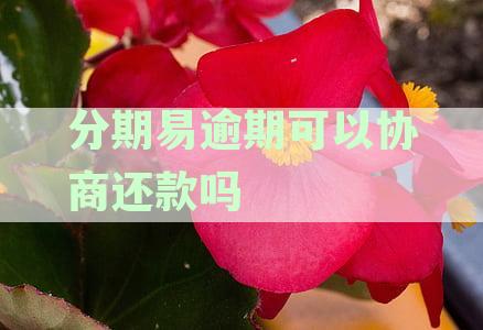 分期易能协商还款吗？分期易可以协商还款、期以及销账流程是什么样的？