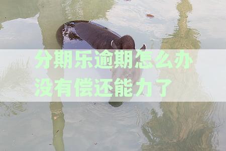 分期乐已逾期没有能力交费会怎么处理：上征信、无力偿还和不能用的问题详解