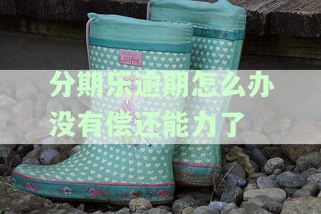 分期乐逾期还款困扰解密，实用教程助您轻松应对！