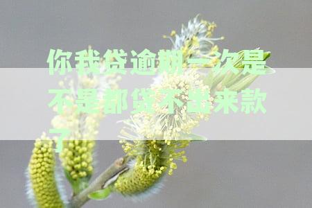 一天内你我贷逾期还款，对信用和贷款产生影响吗？征信将如何记录？