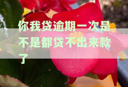 你我贷逾期一次是不是都贷不出来款了
