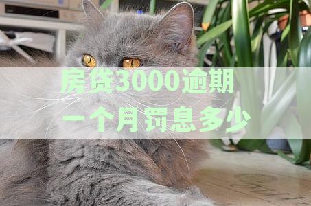房贷逾期一天的罚息计算：3100元贷款的利息是多少？