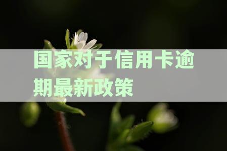 国家信用卡逾期最新政策通知：2020年规定及文件，关于逾期的全貌。