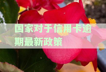 信用卡逾期还款新规定：掌握减免政策，轻松摆脱信用困境