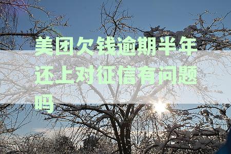 美团欠款逾期半年还清，征信有影响吗？