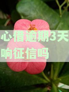 逾期三天对征信的影响：科普、解决办法与预防措
