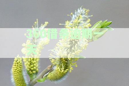 逾期一天