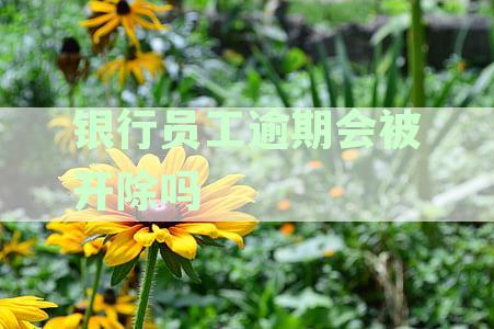 银行员工逾期会被开除吗？如何避免逾期情况以及对工作的影响？