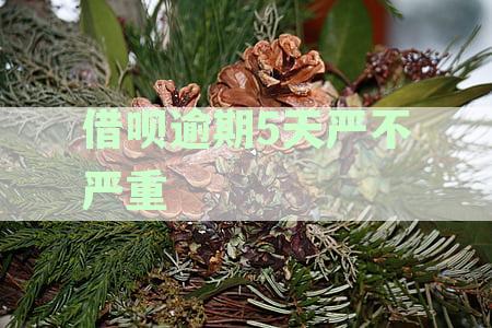借呗逾期5天严重吗？逾期五天后的后果如何？