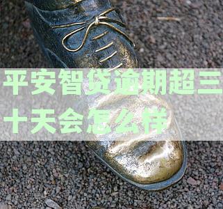 关于平安智贷逾期未还款引发的连续电话催收问题，如何解决？