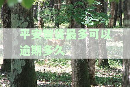 平安智贷逾期一天会产生什么影响？逾期后的还款处理方式及逾期后果详解
