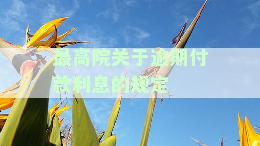 关于逾期利息计算执行程序调整的最高人民法院裁定