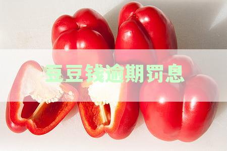 豆豆钱逾期利息怎么算：一天、三天的逾期费用和全额还款要求