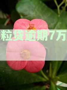 关于微粒贷逾期欠款7万9的还款期限和可能的法律后果分析
