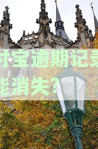 支付宝逾期记录多久能消失：影响消除时间及征信记录详解
