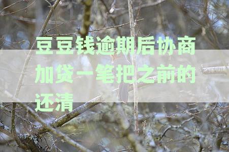 逾期还款豆豆钱成功协商案例分享，教你如何摆脱困境