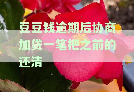 豆豆钱逾期可以协商还本金吗？