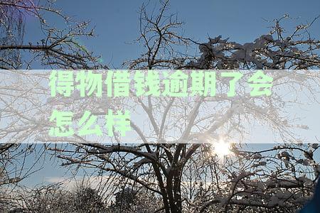 得物借钱逾期了会怎么样